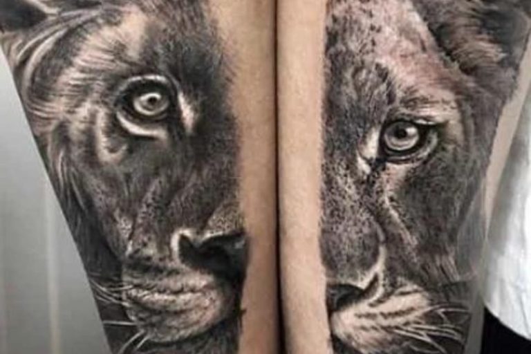 Tatuajes de león