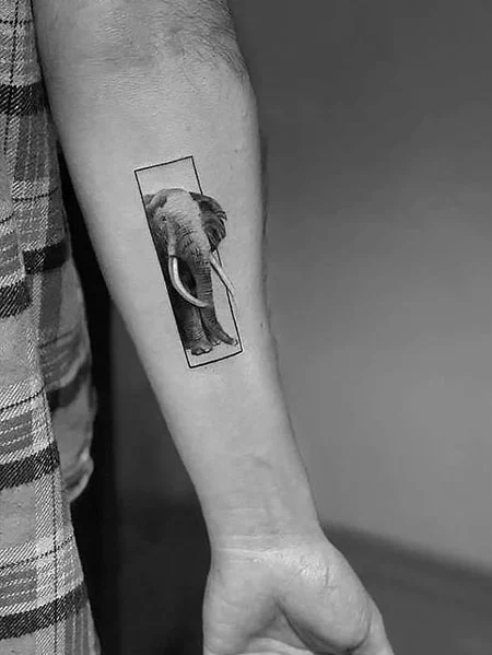 Tatuaje de elefante para hombres