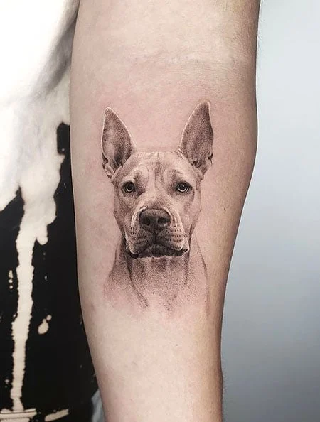 Tatuaje De Perro para hombres