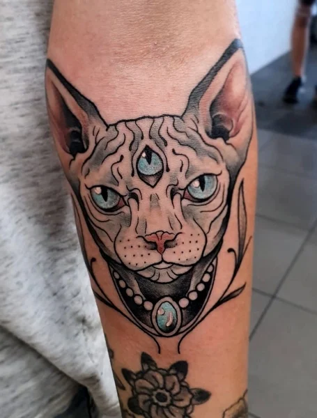 Tatuaje de gato esfinge
