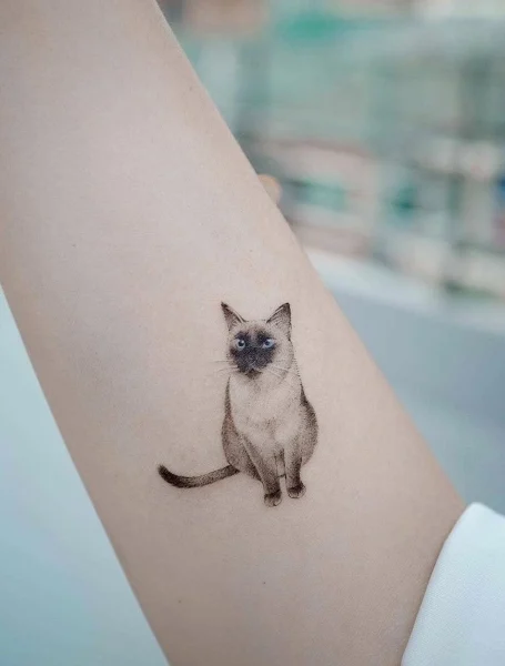 Galería de Tatuajes de gatos para mujeres-19