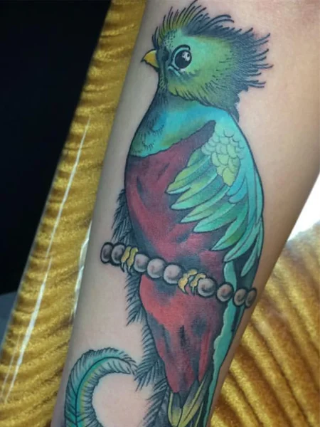 Tatuaje del pájaro quetzal