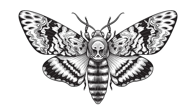 Significado del tatuaje de mariposa