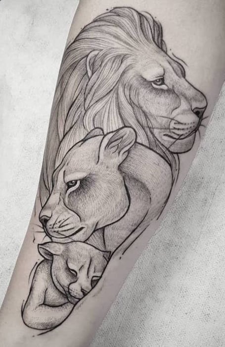 Tatuajes de la familia del león
