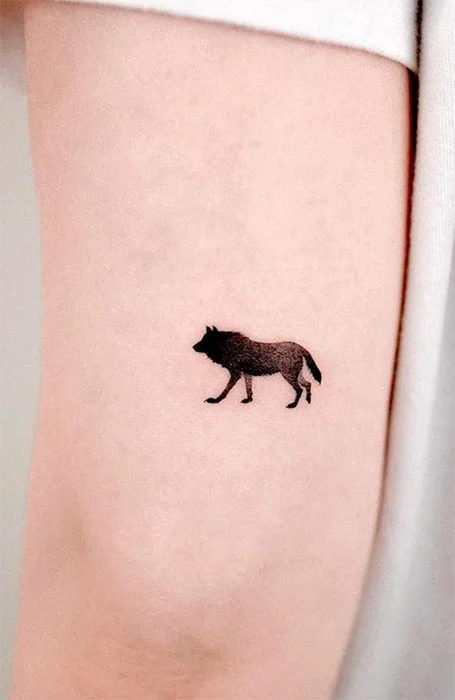 Tatuajes de lobo pequeño