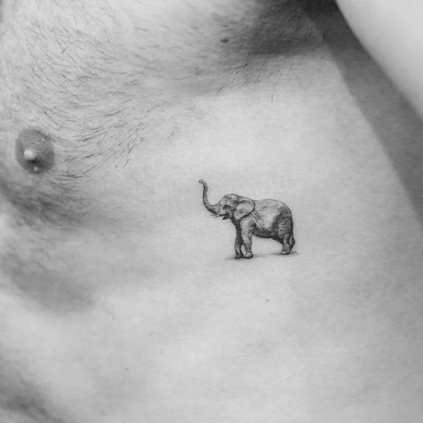 Tatuajes de elefante pequeños