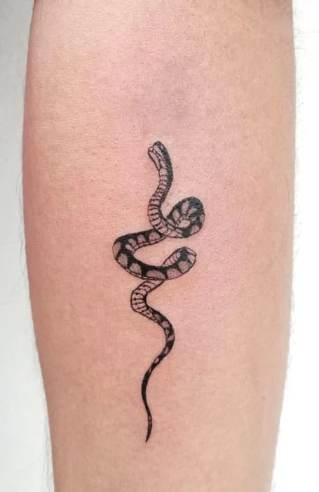 Tatuajes de serpiente pequeña-2