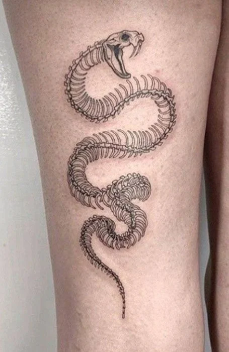 Tatuaje de esqueleto de serpiente